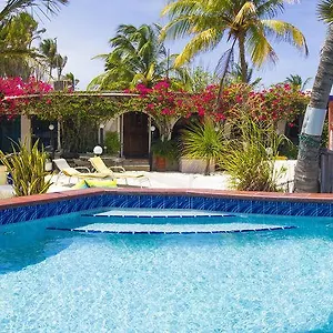 House Aruba Apartamento Palm Beach