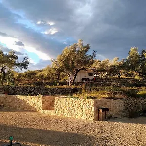 Gelimar Campo de lujo L'Ampolla